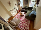 Modern Handmade Cotton Red And White Marianne Rug-6234